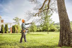 Trusted Highland, CA Tree Removal and Landscaping Services Experts